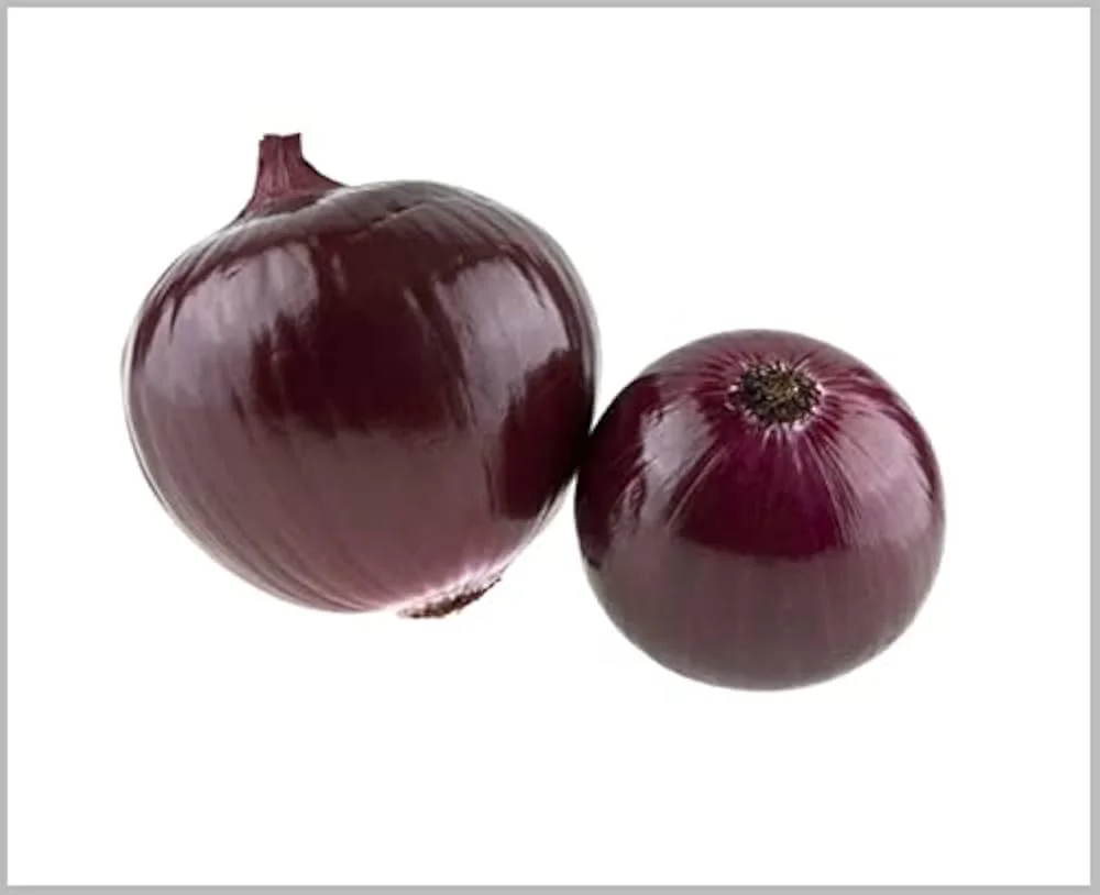 41i0OuJOFaL._SL1000_