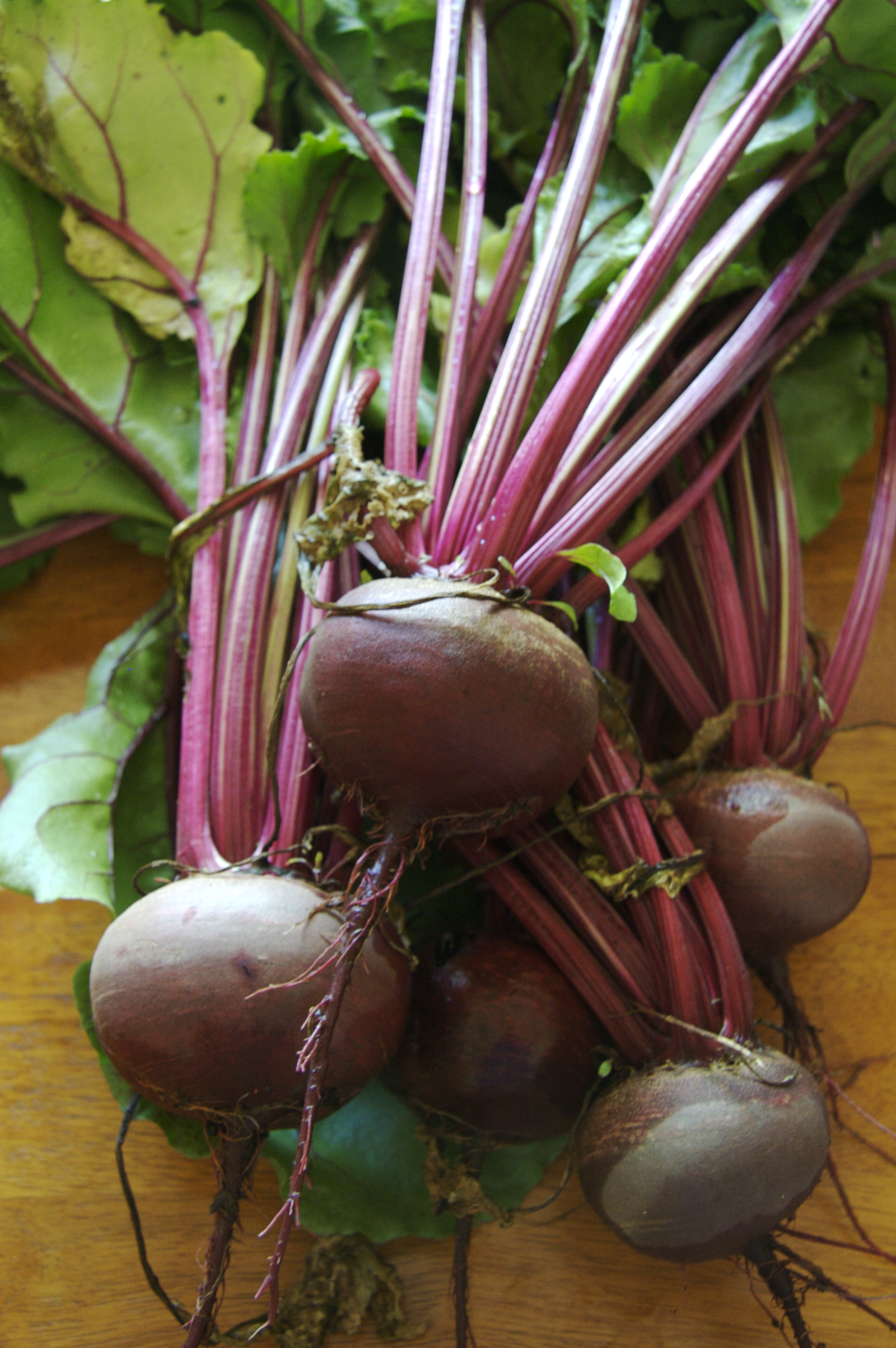 Detroitdarkredbeets