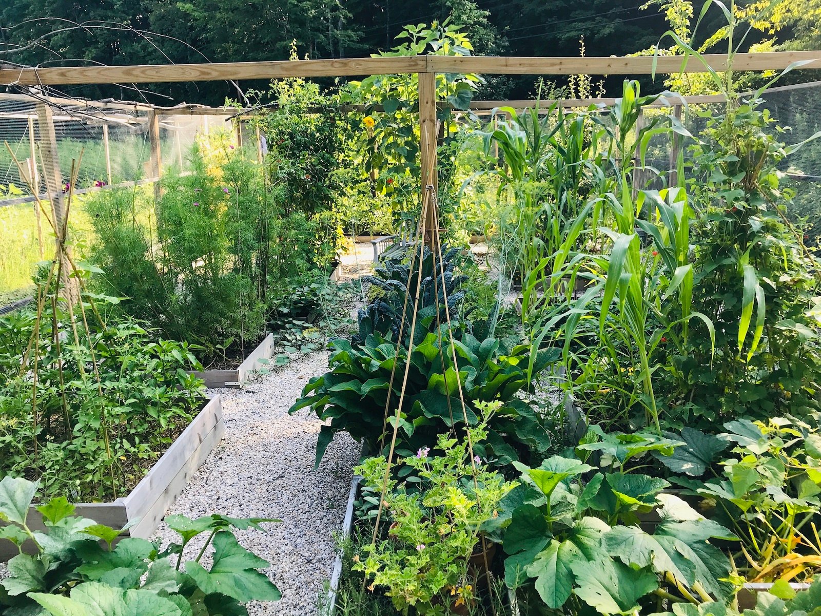 Priscilla Hero Photo resized